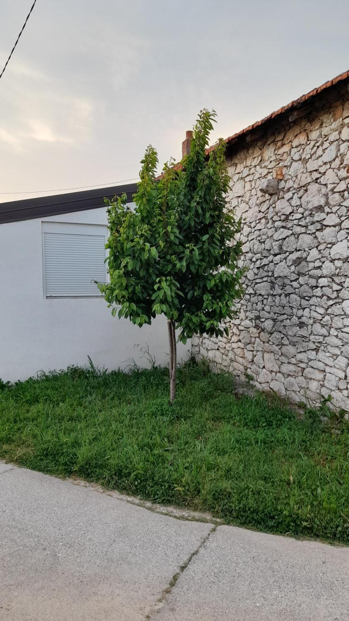 Appartamento Kamena Kuca Family Rodin Čapljina Esterno foto