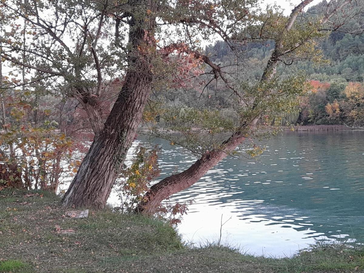 Appartamento Kamena Kuca Family Rodin Čapljina Esterno foto