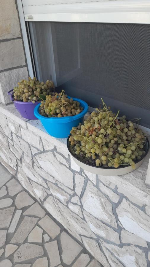 Appartamento Kamena Kuca Family Rodin Čapljina Esterno foto